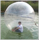 Young man enclosed in a plastic sphere, floatinig on water